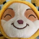여자도 <b>티모</b> 확찢?