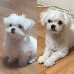 [드루와] 애기 <b>때</b> <b>얼굴</b> 그대론 것 같아?