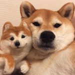 오늘 독서실 첨 가 보는데 도와 <b>주</b><b>셈</b> ㅠㅠ