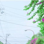 [드루와] 얘덜아 <b>전학</b>갈 때