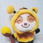 <b>티모</b> 보고가