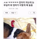 얘들아 고2 주말공부 이정도면 <b>평타</b>치냐