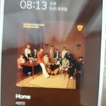 [세븐틴] 역시 딩고는 딩고다