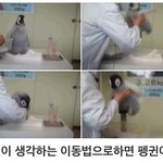 [댓글부탁해] 여친생겨놓고 연락하는 전남친 뭐임