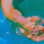 [드루와] 내친구 남자 꼬시는거 <b>개티남</b>