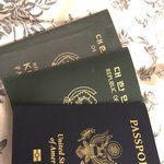 [댓글부탁해] 미국인이 보는 한국 페미 (feminist movement)