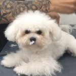[댓글달아줘] 얘들아 짝<b>남</b>한테 <b>말</b> 할 거 있는데 어떡해?ㅠ