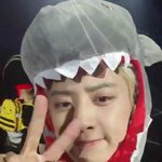 [EXO] 조녜로운 상어 찬열이 보고가