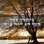 [꼭보셔야함] 어젯밤 사랑한다는 얘기를 해주지 못해 미안해~