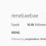 아이린 인스타 사진 개이뻐