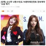 [이것좀봐줘] 계약<b>해지</b>소송한 ts소속 소나무멤버