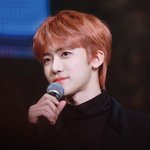 [NCT] 나 짹보다가 이사진보고 깜놀함...