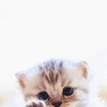 <b>민자</b>야 보고싶다