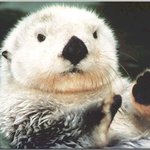 [댓글부탁해] 얘들아 <b>가을옷</b> 필수템 뭘까?