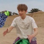 [강다니엘] 온갖 <b>포도</b> 다보는중