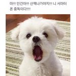 <b>입술</b> <b>안</b> 뜯으면 원래대로 돌아와?