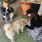 [모두드루와] <b>캠핑</b> 간 현아 효종 커플