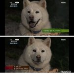 <b>익명</b>이라고 말 함부로 하지마