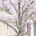 [드루와] 얘들아 너무 <b>무기력</b>하고 우울할 땐