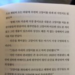[고양이] 고양이를 처음 본 <b>원주민</b>들 반응 ㅍ