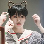 '여우'과에 속하는 남돌