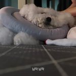 [드루와] 나만 이럼??.. 빅뱅 노래 들으면 너무 슬픔