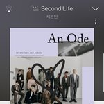 [세븐틴] 가끔 예쁘다때를 <b>추억</b>하고 싶어