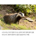 나 내일 <b>증사</b> 다시 찍으러가는데 팁 좀 제발