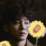 [EXO] 앜ㅋㅋㅋㅋ 종대 해바라기 <b>합성</b>ㅋㅋㅋㅋㅋ
