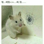 고등<b>학교</b> 가기 <b>전</b>에 책 많이 읽으라고 하잖아