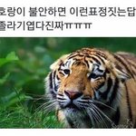 [댓글부탁해] 그거 짤 있는 사람 급해ㅠㅠ
