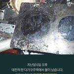 [댓글부탁해] 고양이 죽여패야하는 이유