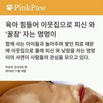 [19] 텐ㅍ로 나갓던 사람이 쓴글봑는데