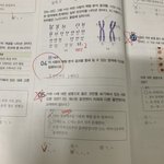 [공판] 생명과학1 유전 잘<b>하눈</b>사라모 ㅠ