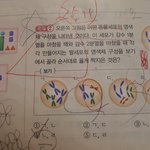 [드루와] 과학 체세포 이문제 알려줄사람 ㅠㅠ