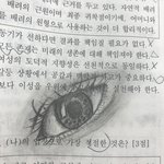 그냥 눈 그려봤는데 어때