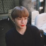 [모두드루와] 찐 댕댕이 같은 강다니엘