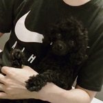 [댓글부탁해] 나 키 153인데 기장 59 어때