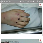 <b>복학</b> 재학생을 살해한 단국대학교 사주한...