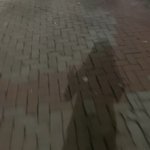 지금 <b>맥모닝</b>먹으러가눈중