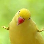 [19] 진짜 ㄱㅅ 땜에 스트레스 받는다ㅠㅠㅠ