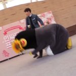 한 아이돌 술먹고 행사장에 나타남