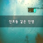 [꼭봐주세요] <b>신호</b>등 같은 인생~