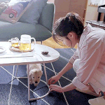 [아이유] 징짱이 <b>여자</b> 연예인 중에 가장 광고 많이찍어??