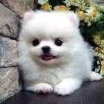 [드루와] 우리 <b>엘베</b> 개빡침 ㅜ