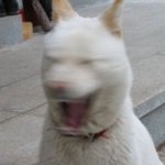 [드루와] 나진짜 길가다가 <b>지</b><b>릴</b>뻔함