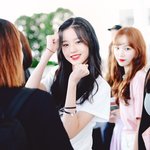 [댓글부탁해] 지금 돼지 <b>멸종</b>되면 어쩌냐고 막 걱정하던데
