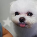 [댓글부탁해] 제가 잘못한건가요?