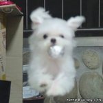 [꼭조언부탁] 짝남 <b>철벽</b> 장벽 너무너무너무 높아서 뭐가 뭔지 모르겠어ㅜㅠ