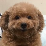 오늘 시험인데 <b>밤새</b>도 됨?